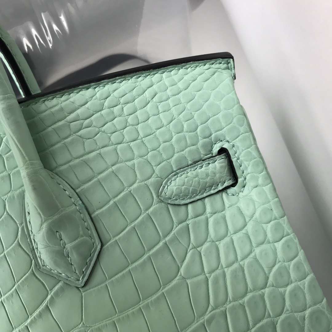 Fashion Hermes Alligator Matt Crocodile Birkin Bag25CM in 6U Mint Green