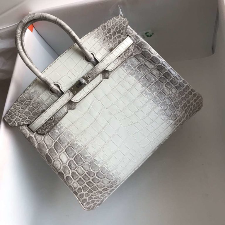Hermes Crocodile Leather Birkin Bag 25CM in Himalaya Color Silver Hardware