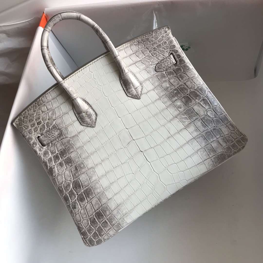 Fashion Hermes Crocodile Leather Birkin Bag25CM in Himalaya Color Silver Hardware
