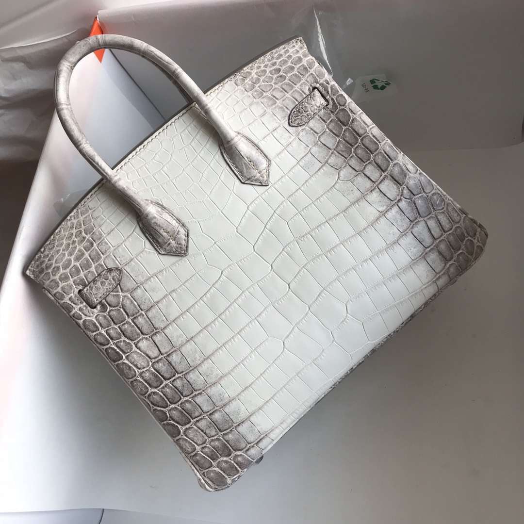 Luxury Hermes Himalaya Crocodile Leather Birkin25CM Bag Silver Hardware