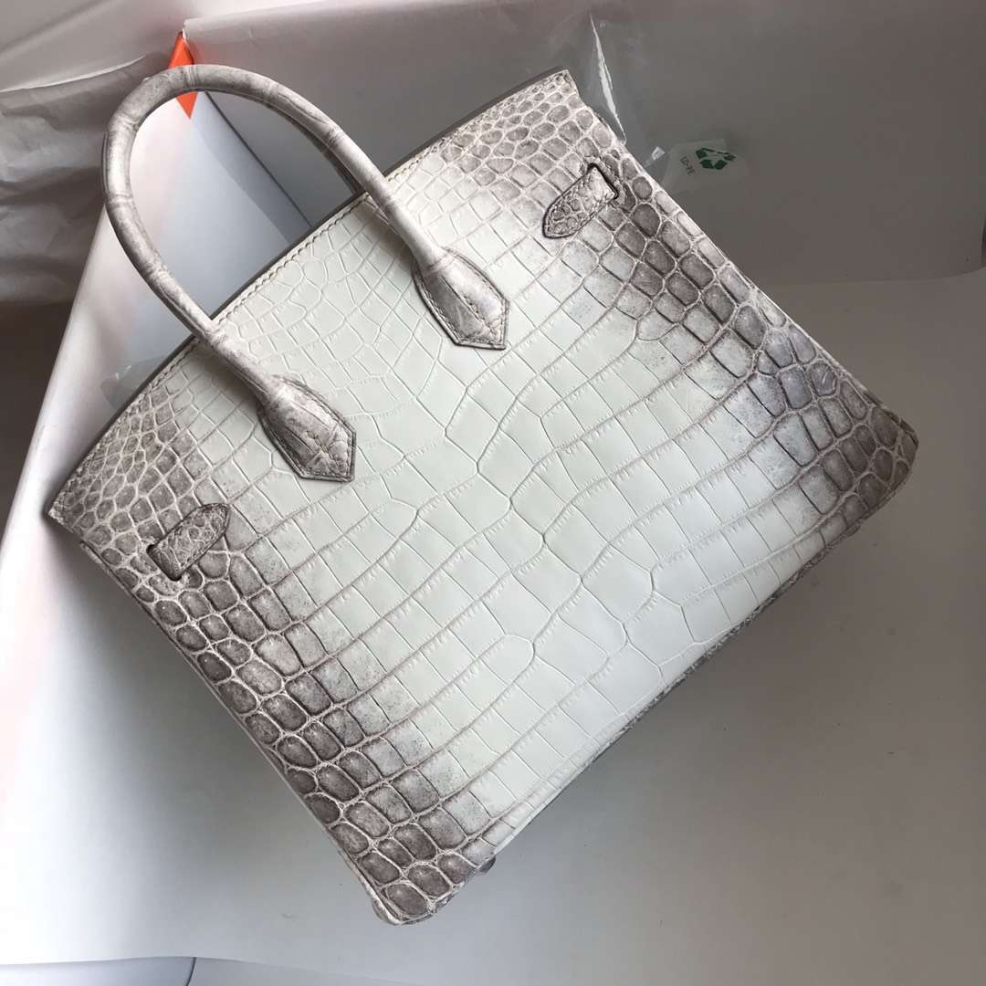 Luxury Hermes Himalaya Crocodile Leather Birkin25CM Bag Silver Hardware