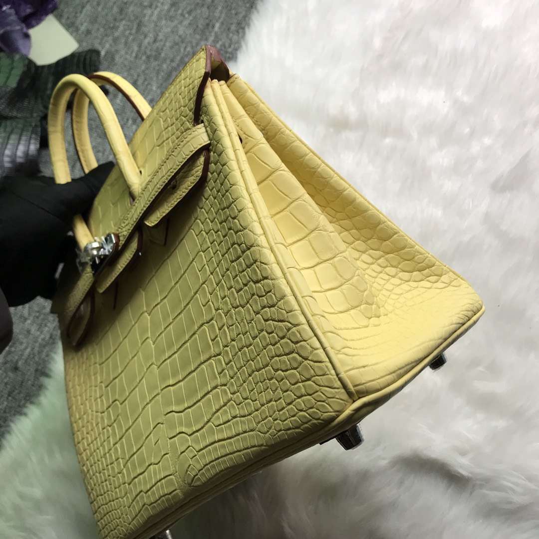 Pretty Hermes Mimosa Alligator Matt Crocodile Birkin Bag25CM Silver Hardware