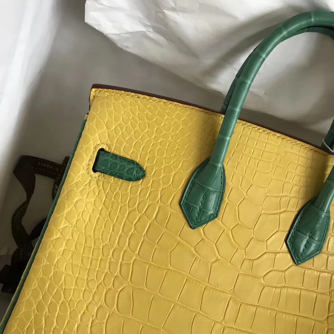 New Arrival Hermes Yellow &#038; Green Crocodile Matt Leather Birkin Bag25CM