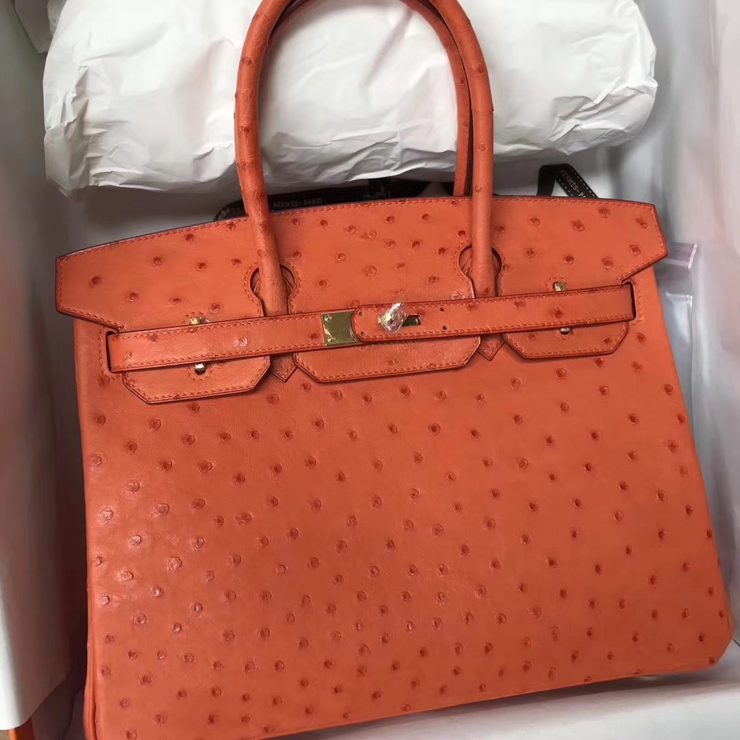 Discount Hermes CK93 Orange Ostrich Leather Birkin25cm Bag Gold Hardware