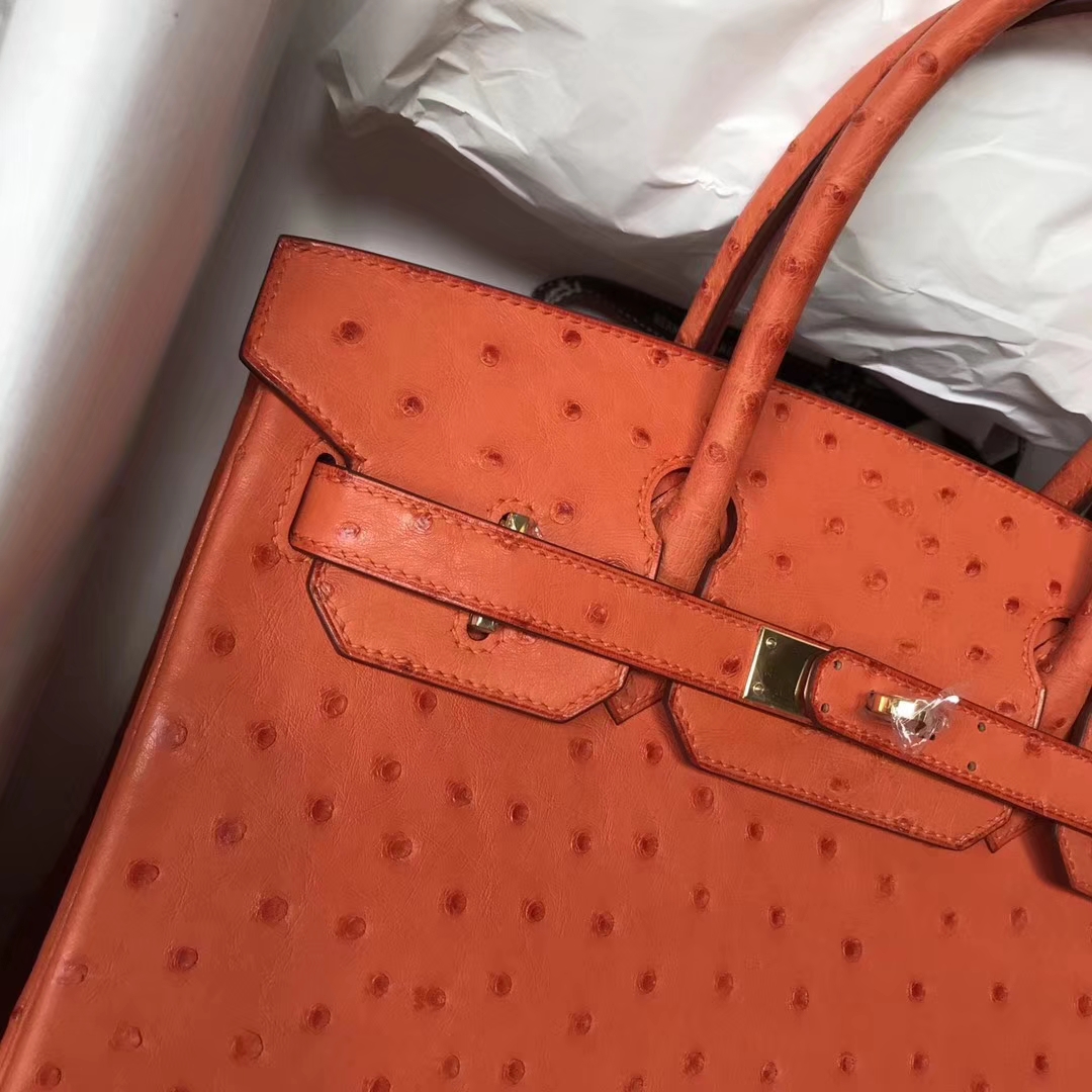 Discount Hermes CK93 Orange Ostrich Leather Birkin25cm Bag Gold Hardware