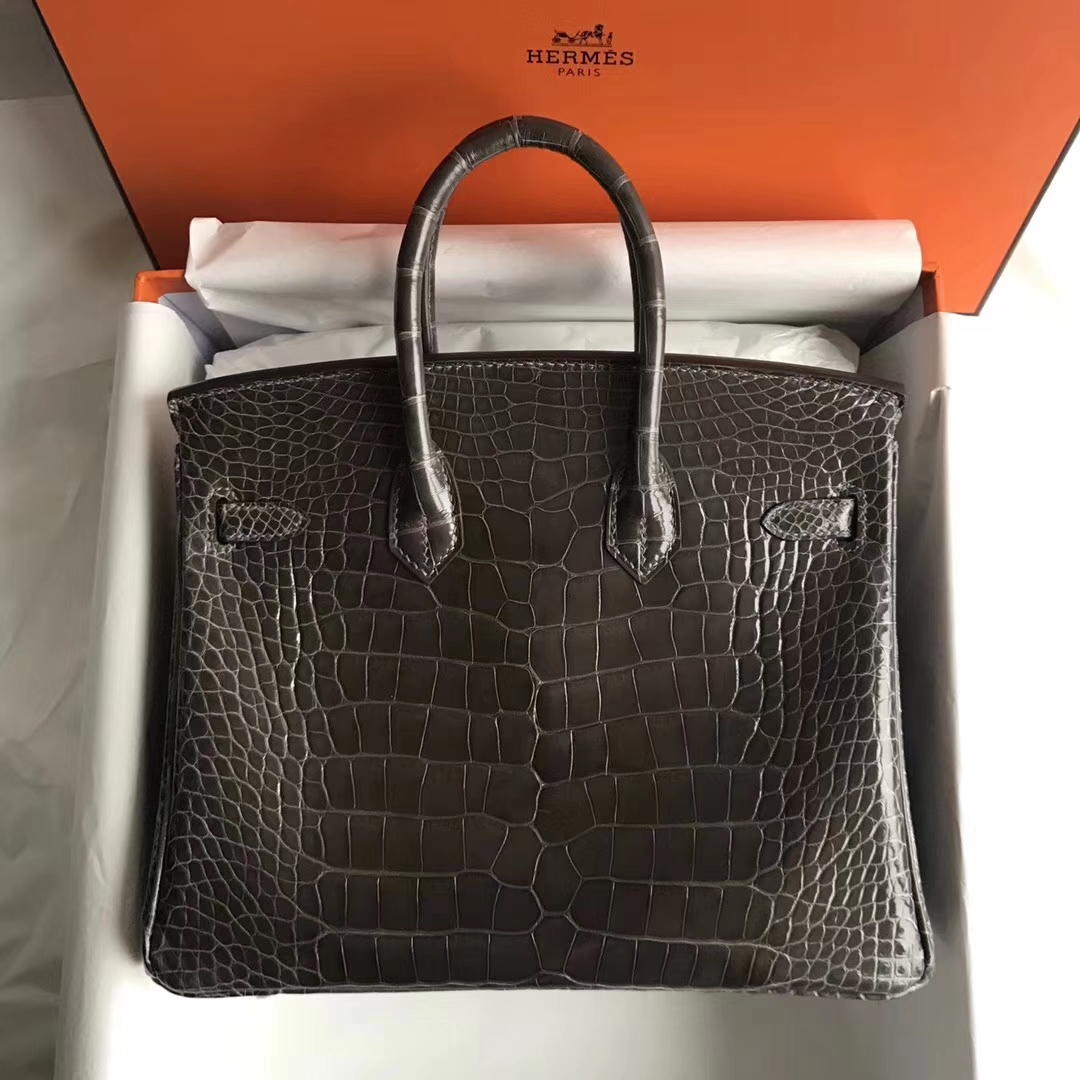 Luxury Hermes Shiny Crocodile Leather Birkin Bag25CM in 8P Penceil Grey Gold Hardware