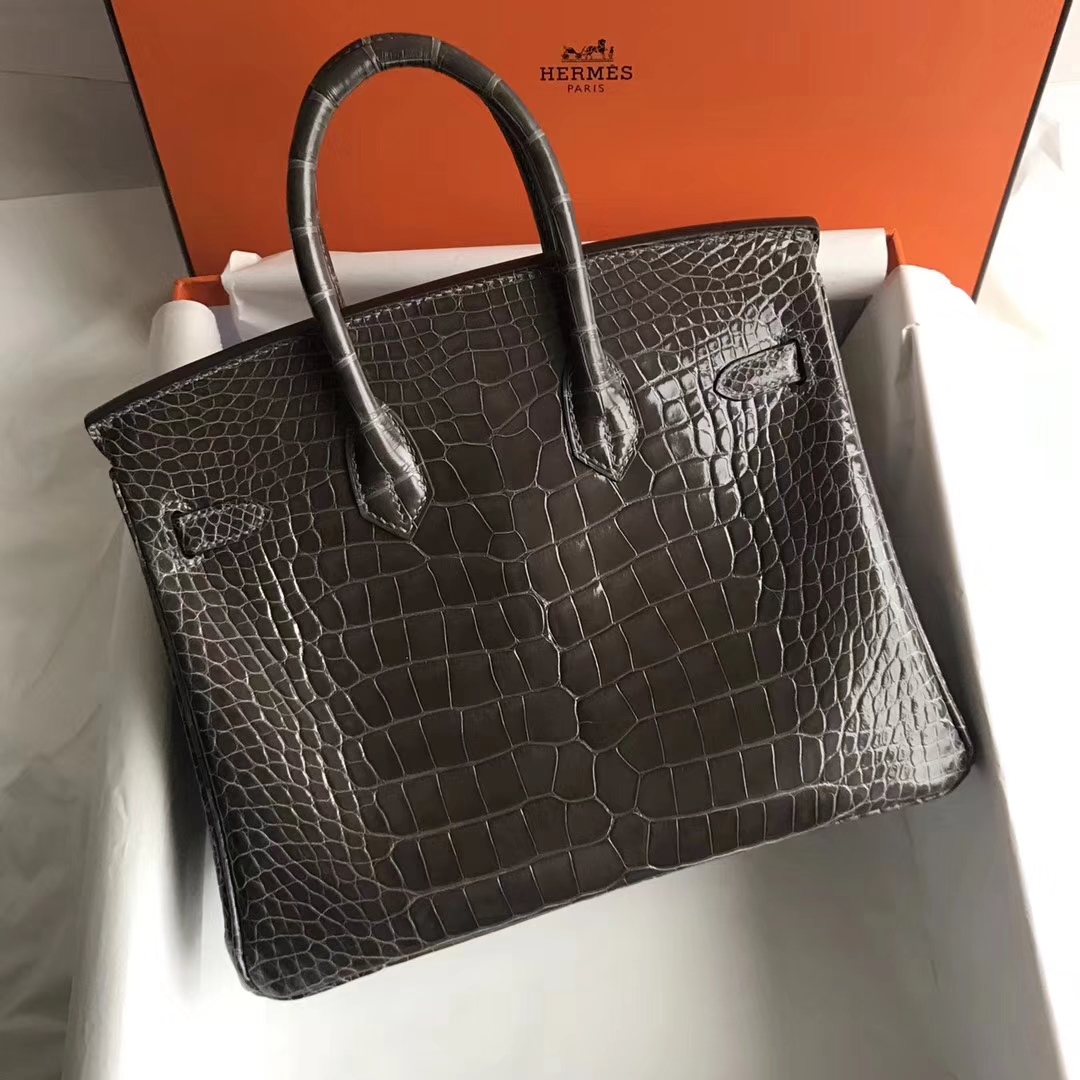 Luxury Hermes Shiny Crocodile Leather Birkin Bag25CM in 8P Penceil Grey Gold Hardware