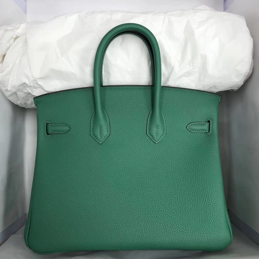 Wholesale Hermes Togo Calf Leather Birkin25CM Bag in U4 Vert Verigo Silver Hardware