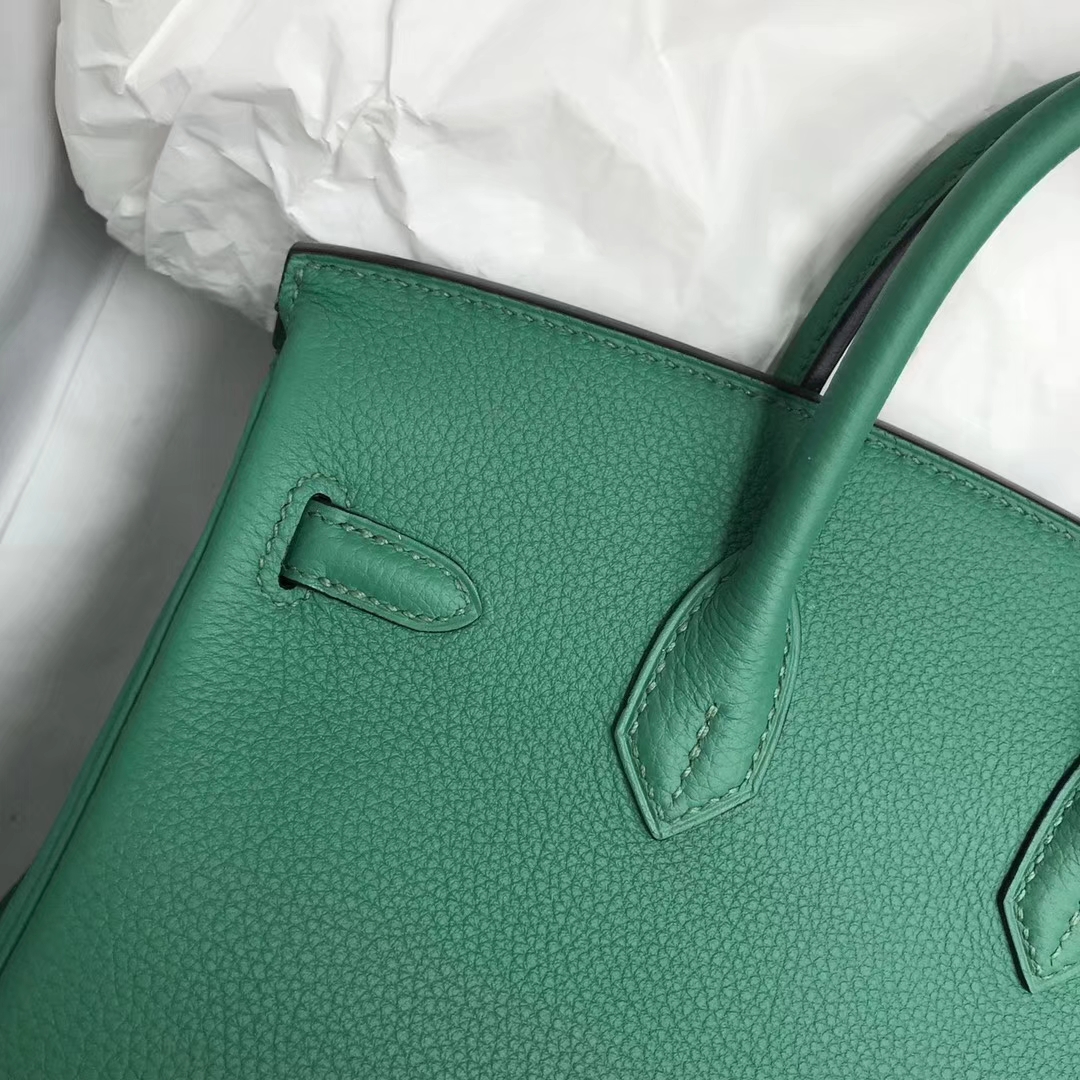 Wholesale Hermes Togo Calf Leather Birkin25CM Bag in U4 Vert Verigo Silver Hardware