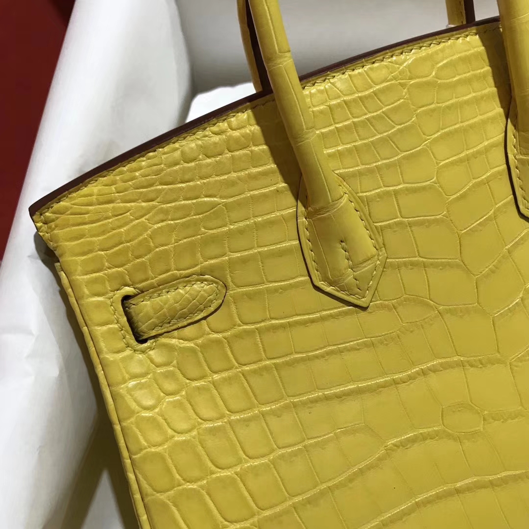 Fashion Hermes Crocodile Matt Leather Birkin25CM Bag in 9R Lemon Yellow