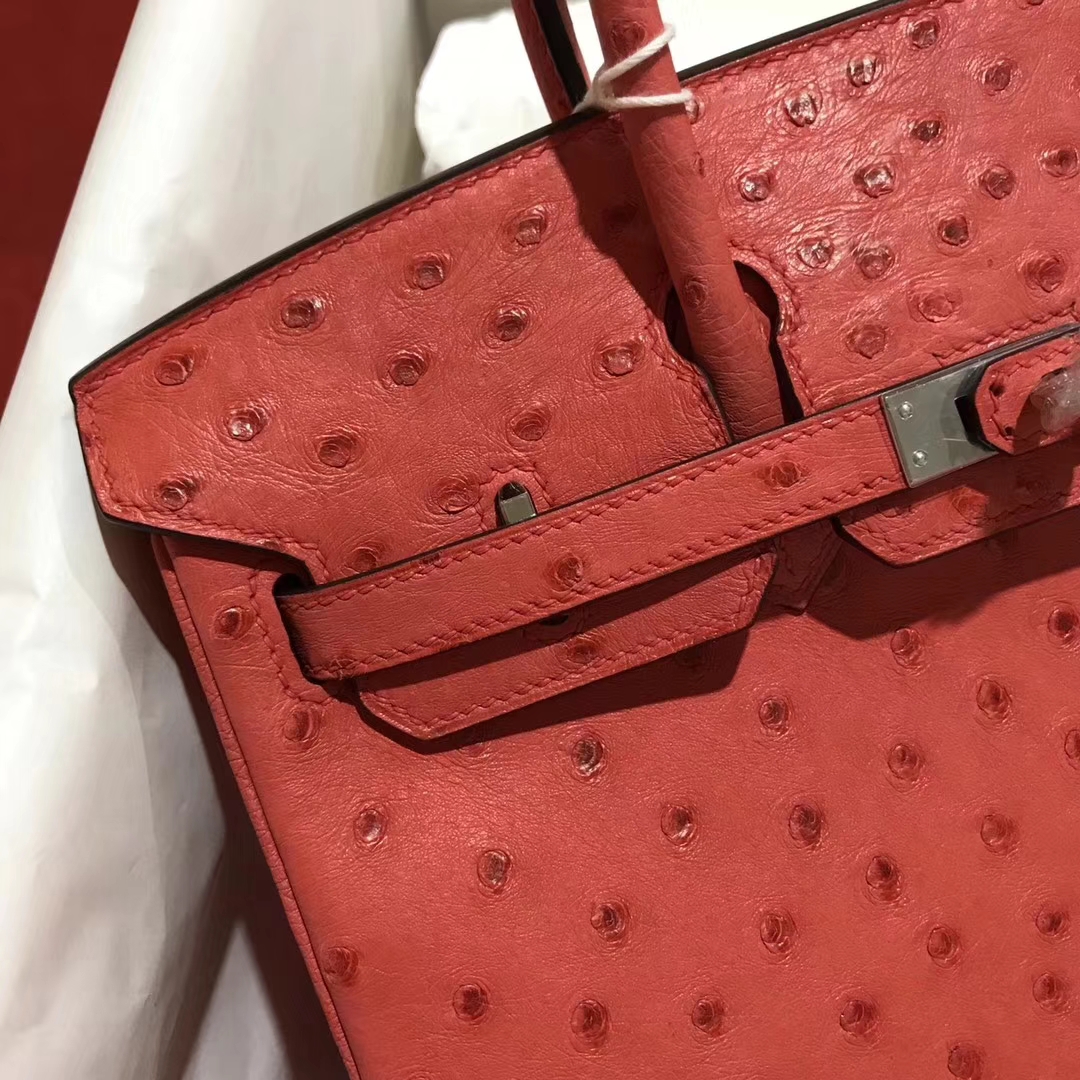 Wholesale Hermes A5 Bougainvillier Red Ostrich Leather Birkin25CM Handbag