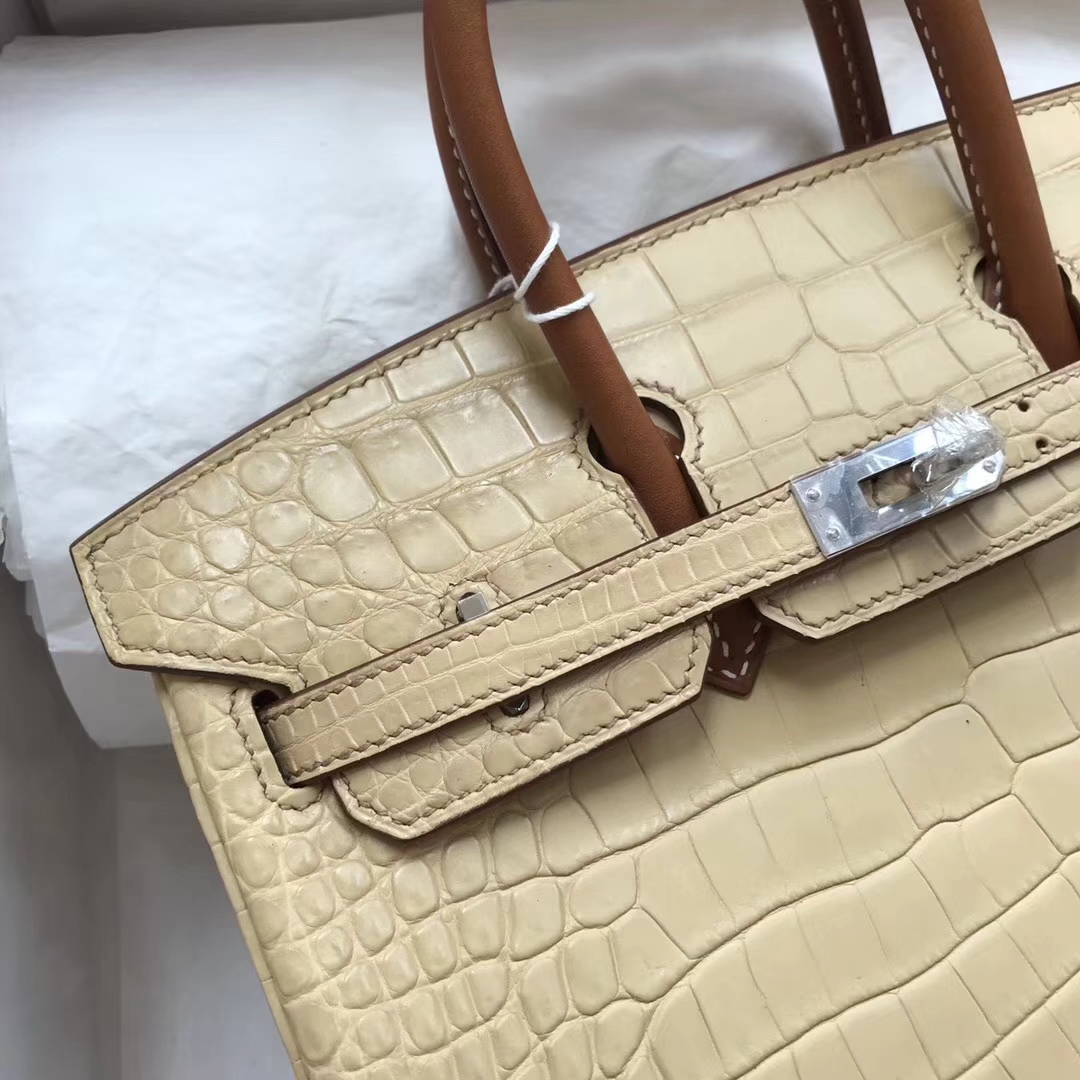 Fashion Hermes Apricot Crocodile Matt &#038; Brown Box Calf Birkin25CM Handbag
