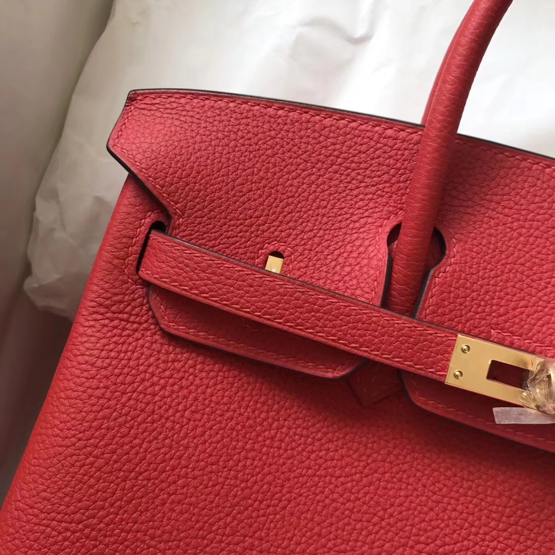 Wholesale Hermes A5 Bougainvillier Red Togo Calf Birkin25CM Bag Gold Hardware