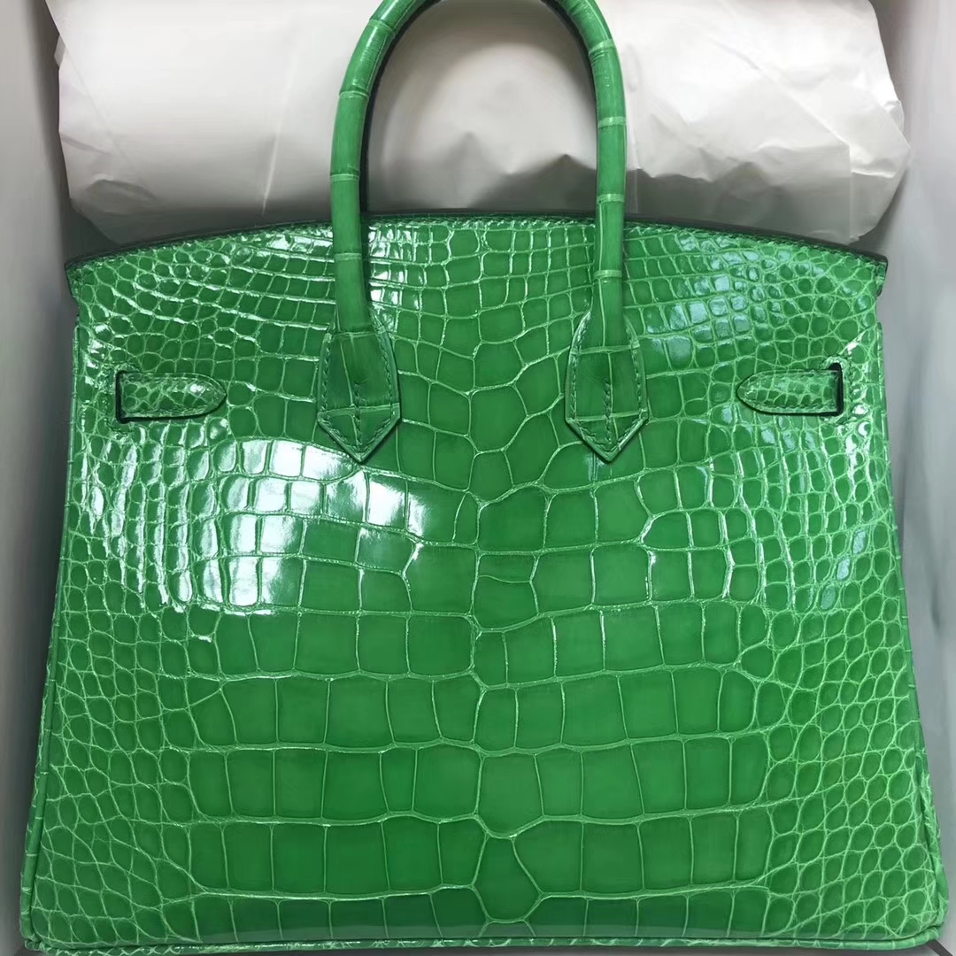 New Arrival Hermes 1L Cacti Green Shiny Crocodile Leather Birkin25CM Bag Gold Hardware