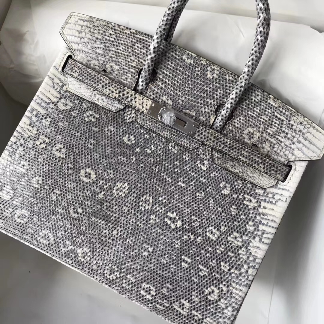 Discount Hermes Lizard Leather Birkin25CM Tote Bag Silver Hardware