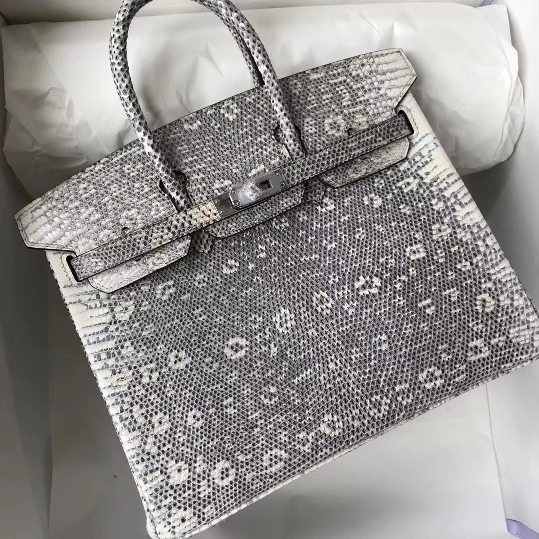 Discount Hermes Lizard Leather Birkin25CM Tote Bag Silver Hardware