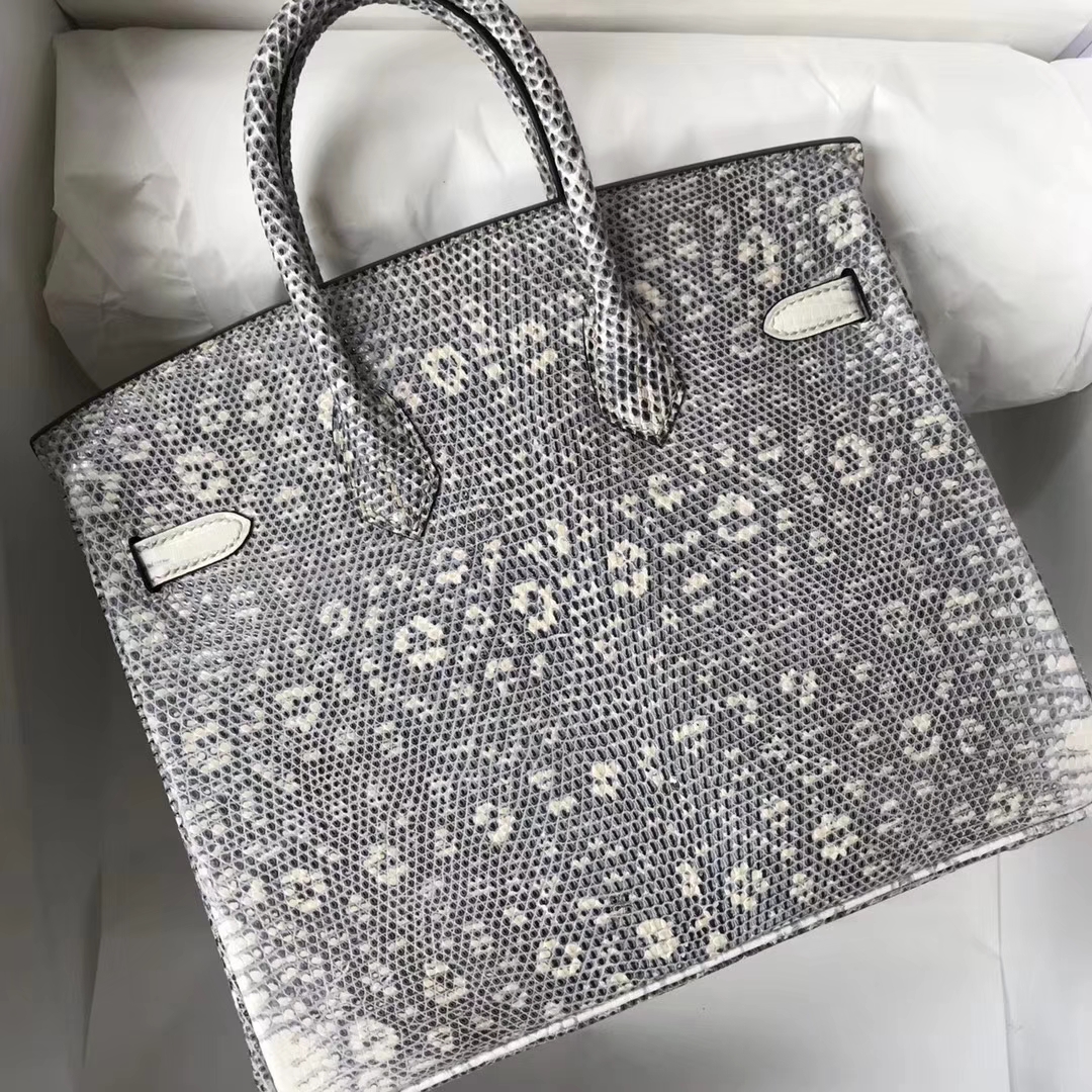 Discount Hermes Lizard Leather Birkin25CM Tote Bag Silver Hardware