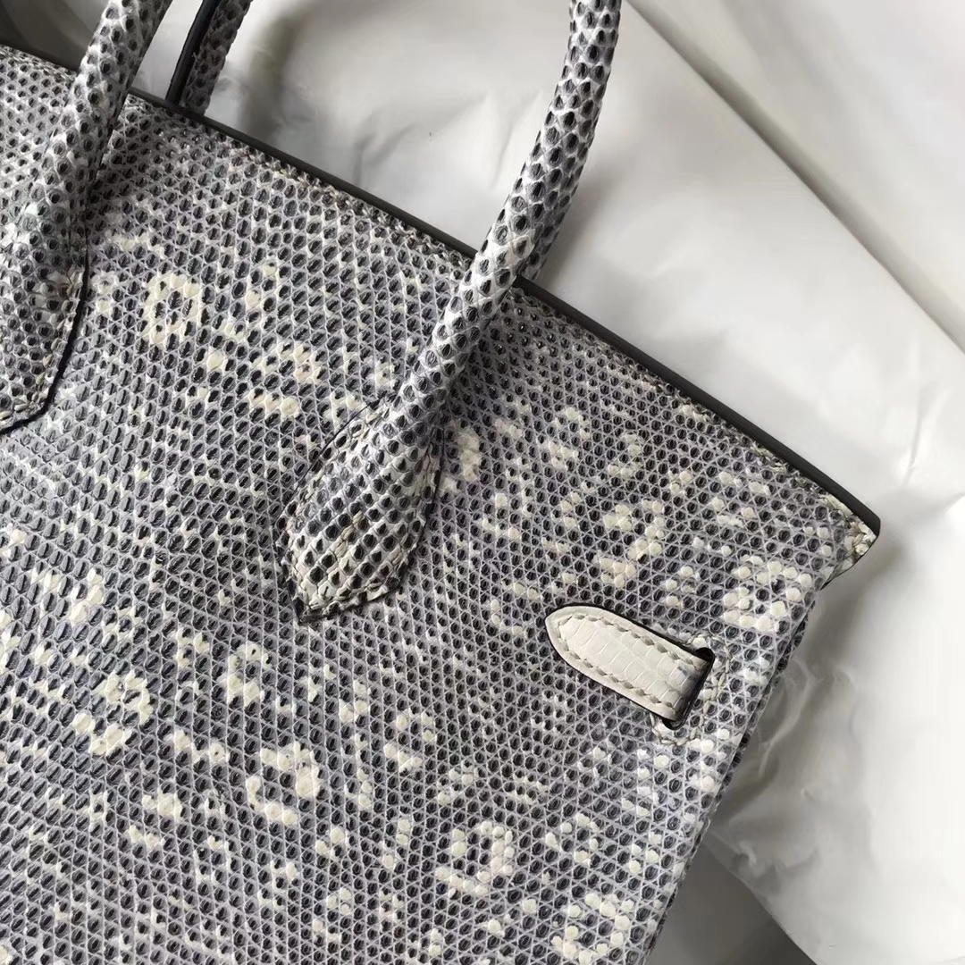 Discount Hermes Lizard Leather Birkin25CM Tote Bag Silver Hardware
