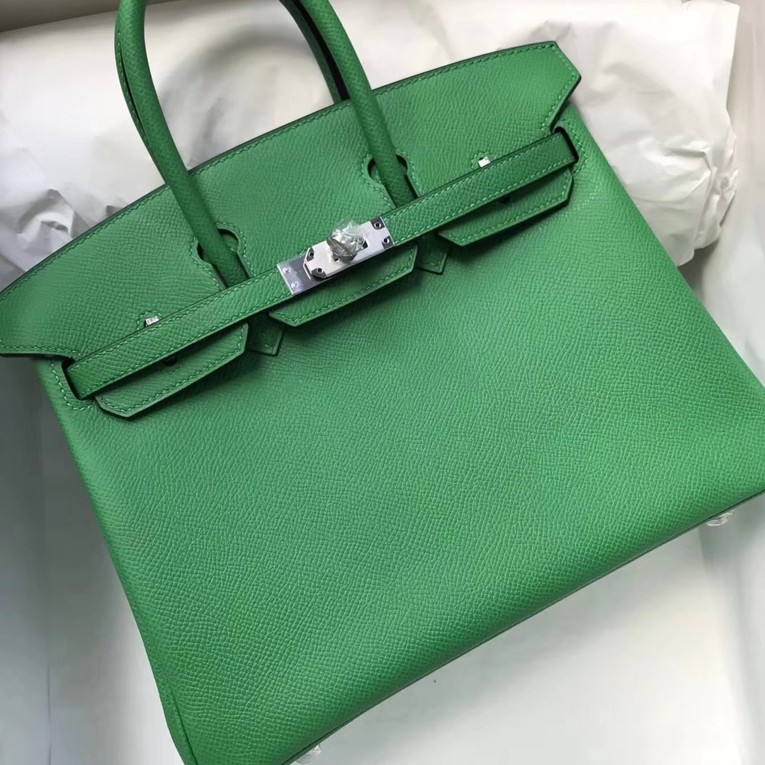 Elegant Hermes Birkin Bag25CM in 1K Bamboo Green Epsom Calf Silver Hardware