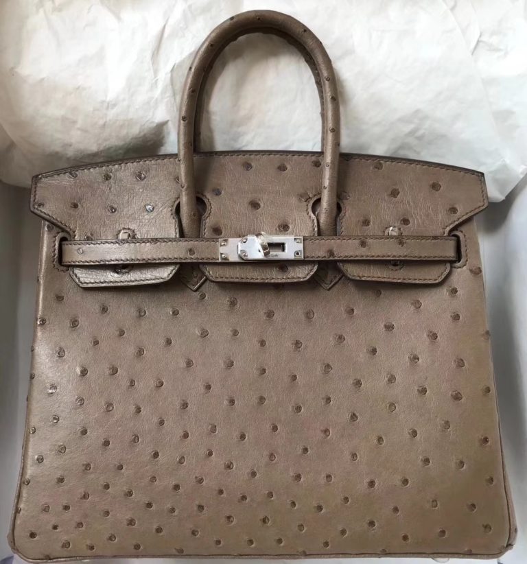 Hermes Ostrich Leather Birkin 25CM Bag in CK 18 Etoupe Grey Silver Hardware