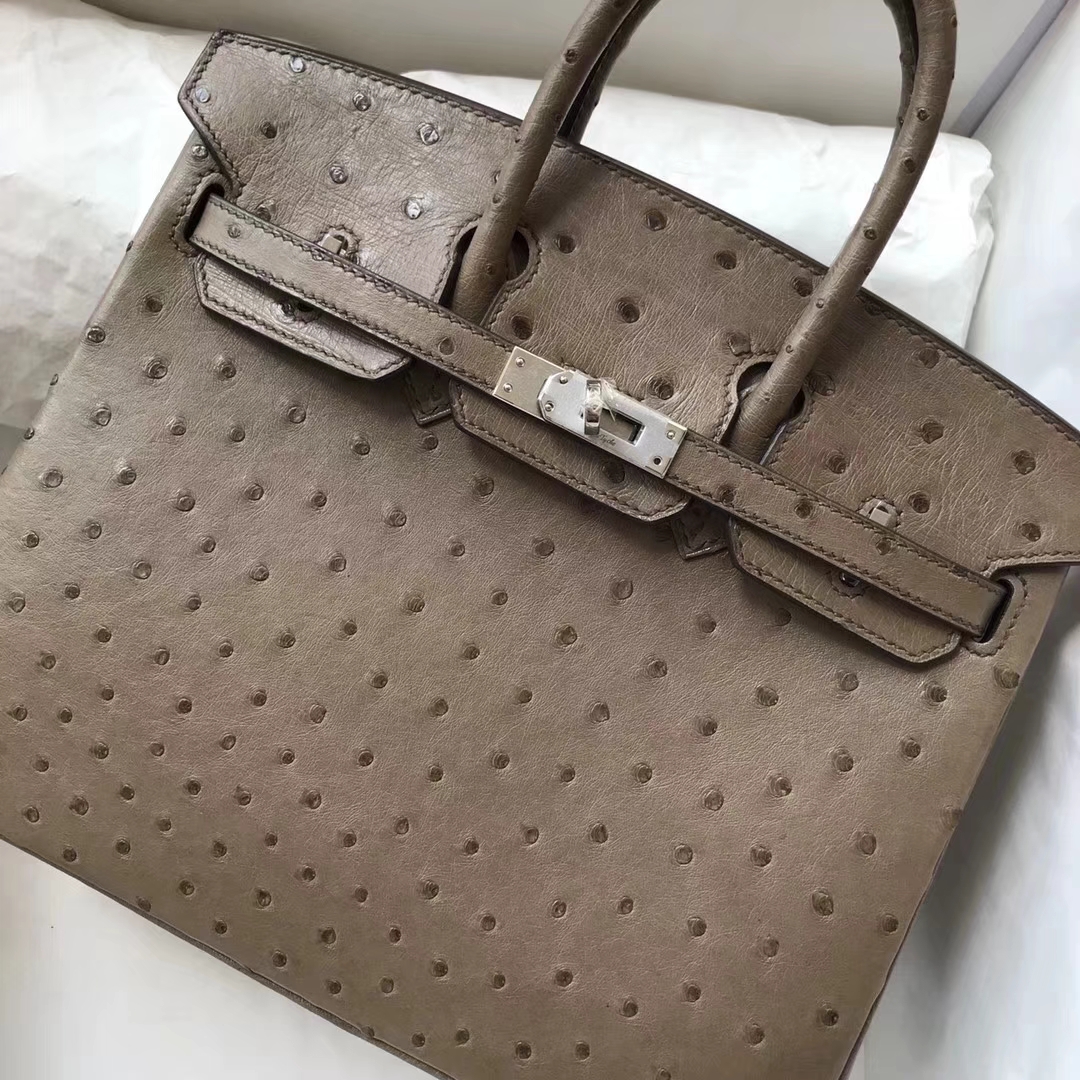 Discount Hermes Ostrich Leather Birkin25CM Bag in CK18 Etoupe Grey Silver Hardware