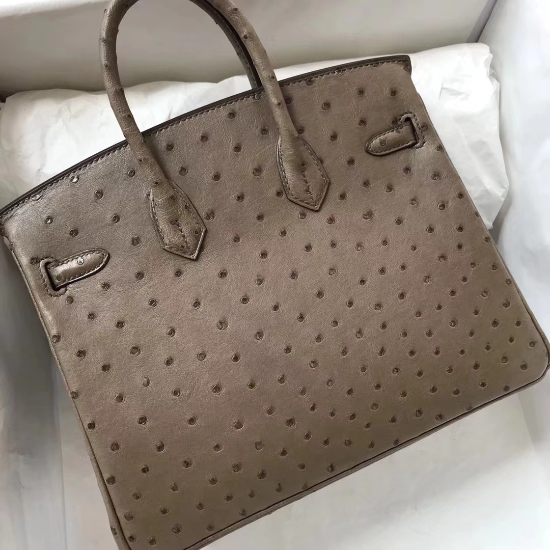 Discount Hermes Ostrich Leather Birkin25CM Bag in CK18 Etoupe Grey Silver Hardware