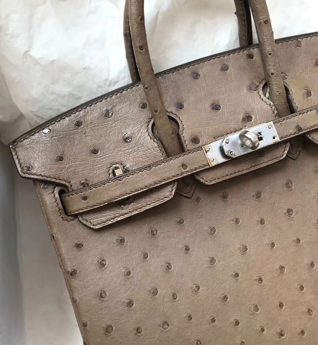 Discount Hermes Ostrich Leather Birkin25CM Bag in CK18 Etoupe Grey Silver Hardware