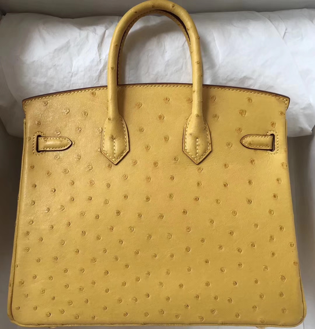 Hand Stitching Hermes Ostrich Leather Birkin Bag25CM in 9D Ambre Yellow