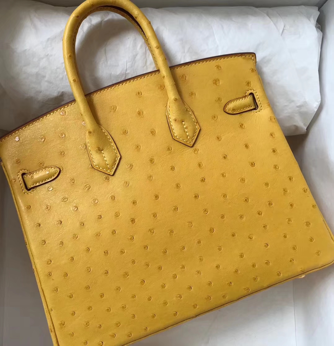 Hand Stitching Hermes Ostrich Leather Birkin Bag25CM in 9D Ambre Yellow