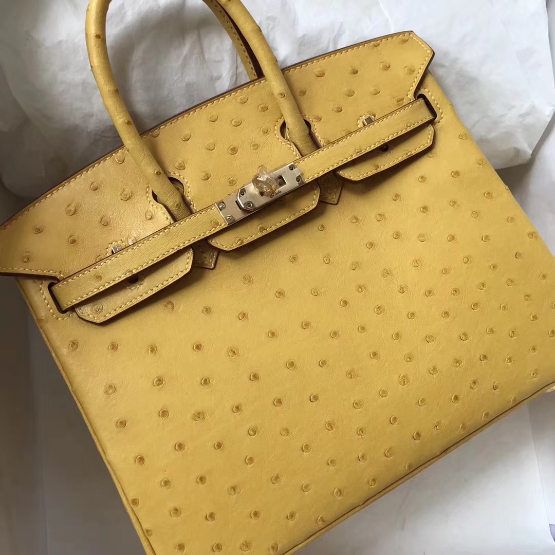 Hand Stitching Hermes Ostrich Leather Birkin Bag25CM in 9D Ambre Yellow