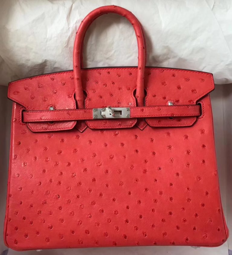 Hermes A5 Bougainvillier Red Ostrich Leather Birkin 25CM Bag Silver Hardware
