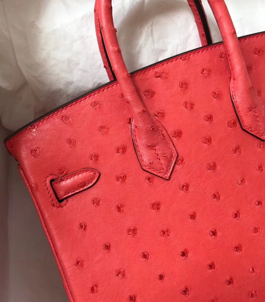 Pretty Hermes A5 Bougainvillier Red Ostrich Leather Birkin25CM Bag Silver Hardware