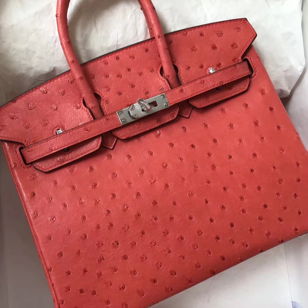 Pretty Hermes A5 Bougainvillier Red Ostrich Leather Birkin25CM Bag Silver Hardware