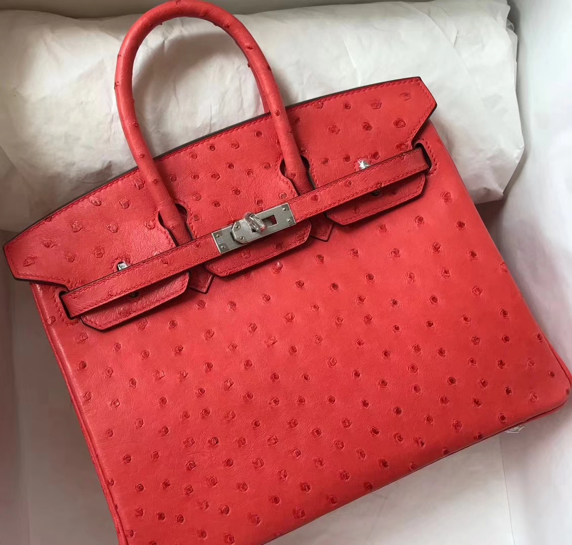 Pretty Hermes A5 Bougainvillier Red Ostrich Leather Birkin25CM Bag Silver Hardware