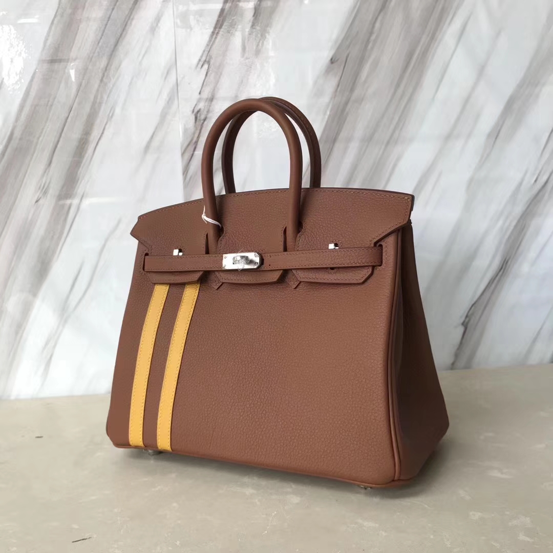 Fashion Hermes Gold &#038; Yellow Togo Leather Birkin25CM Bag Silver Hardware