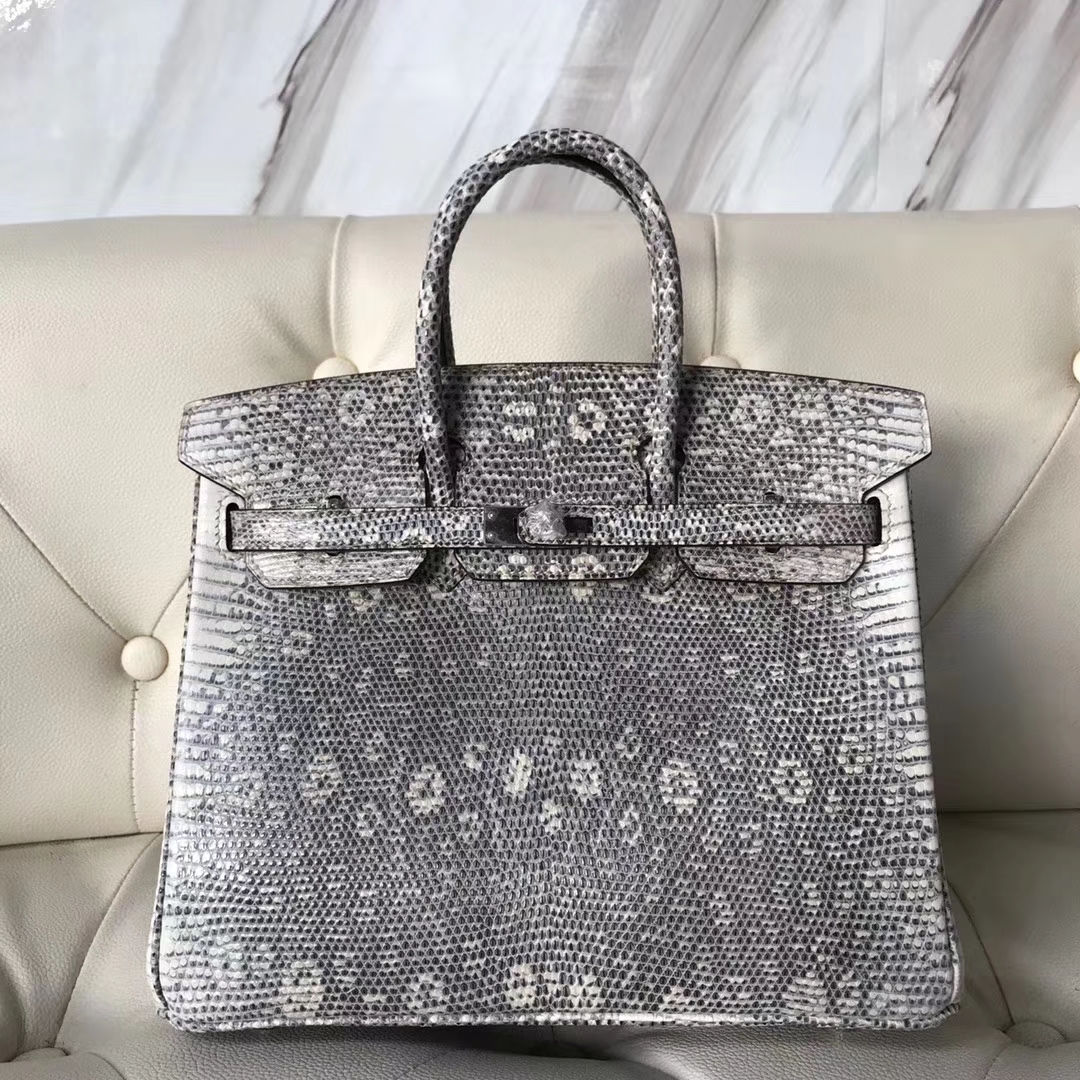 Noble Hermes 01 Nature Color Shiny Lizard Birkin25CM Bag Silver Hardware