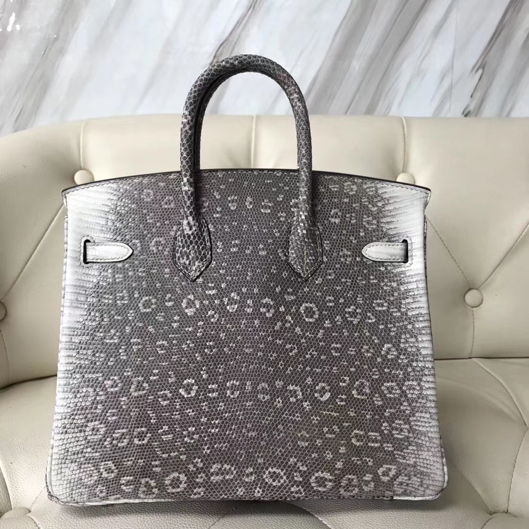 New Arrival Hermes 01 Nature Color Lizard Leather Birkin25CM Bag Silver Hardware