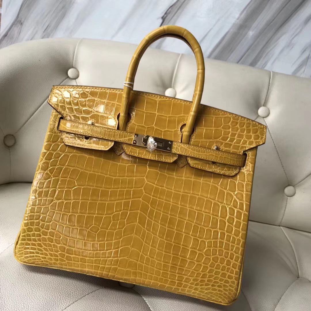 Luxury Hermes 9D Ambre Yellow Shiny Crocodile Birkin Bag25CM Gold Hardware