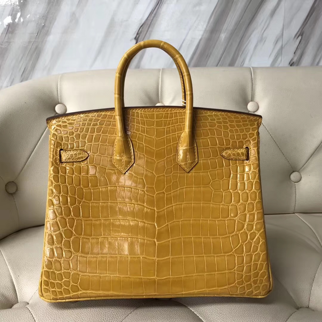 Luxury Hermes 9D Ambre Yellow Shiny Crocodile Birkin Bag25CM Gold Hardware