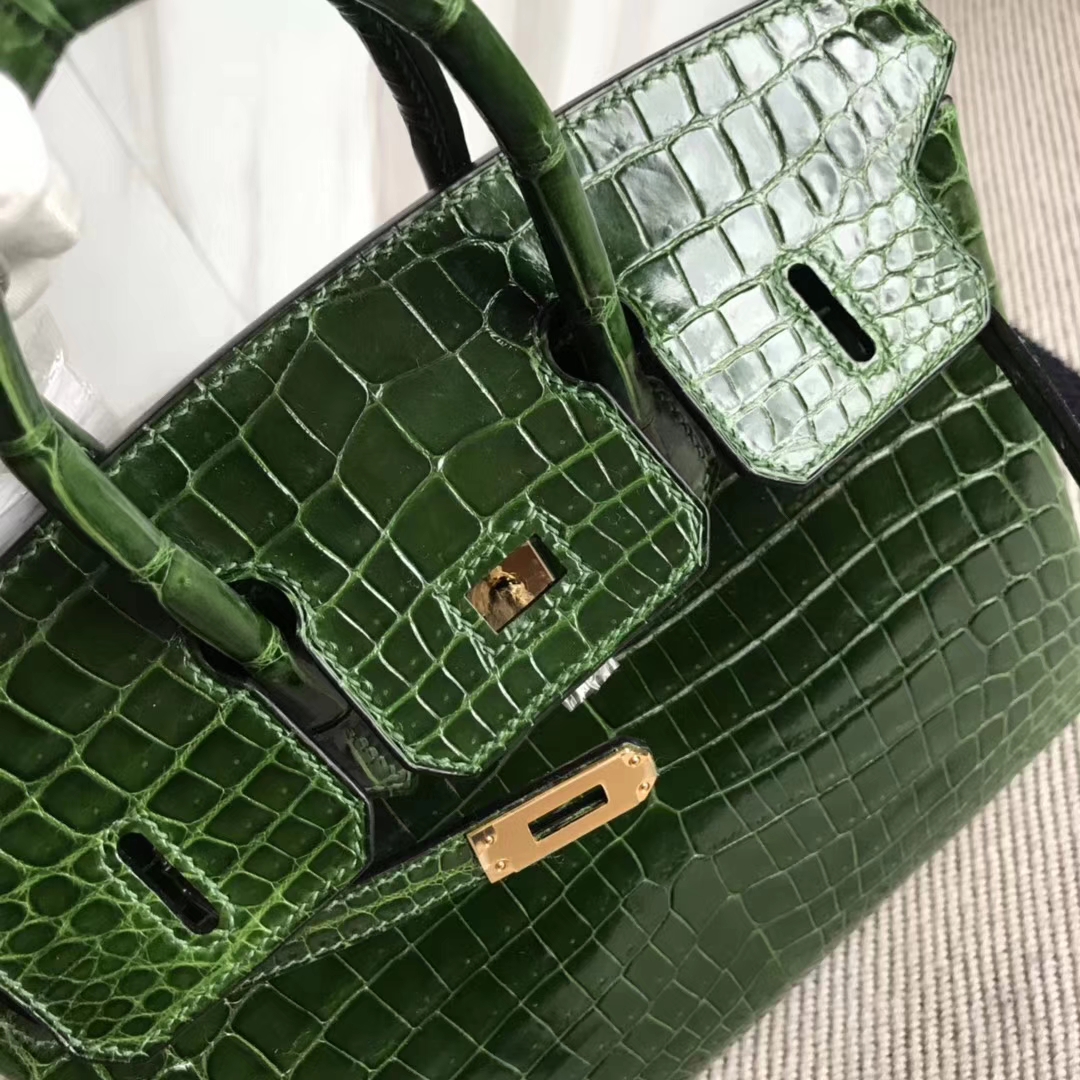 Luxury Hermes CK67 Vert Fonce Crocodile Shiny Birkin25CM Bag Gold Hardware