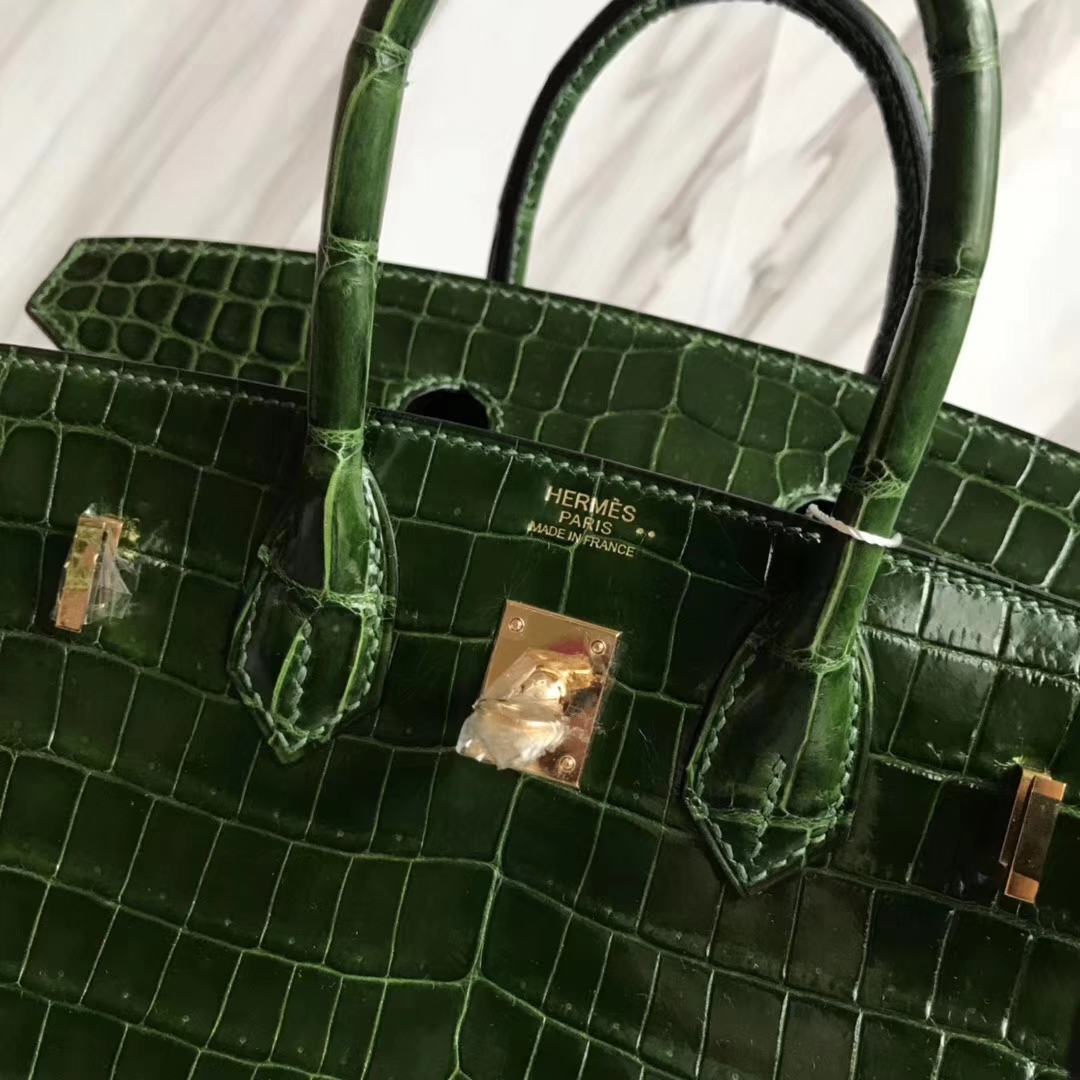 Luxury Hermes CK67 Vert Fonce Crocodile Shiny Birkin25CM Bag Gold Hardware