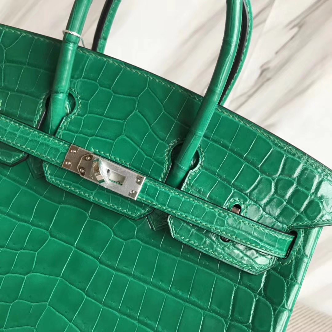 Elegant Hermes Crocodile Shiny Birkin Bag25CM in 6Q Emerald Green Silver Hardware