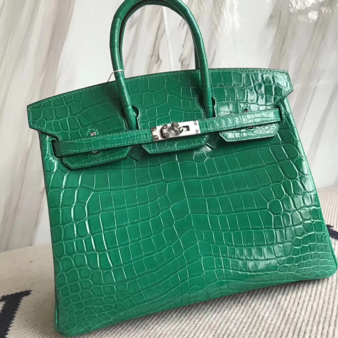 Elegant Hermes Crocodile Shiny Birkin Bag25CM in 6Q Emerald Green Silver Hardware
