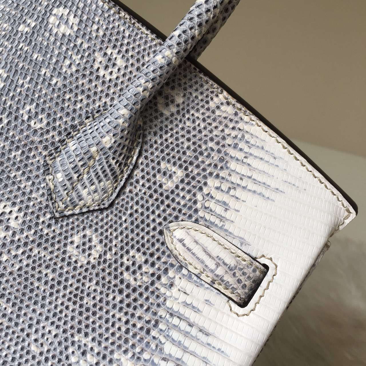 Noble Women’s Bag Hermes Nature Color Lizard Leather Birkin30CM