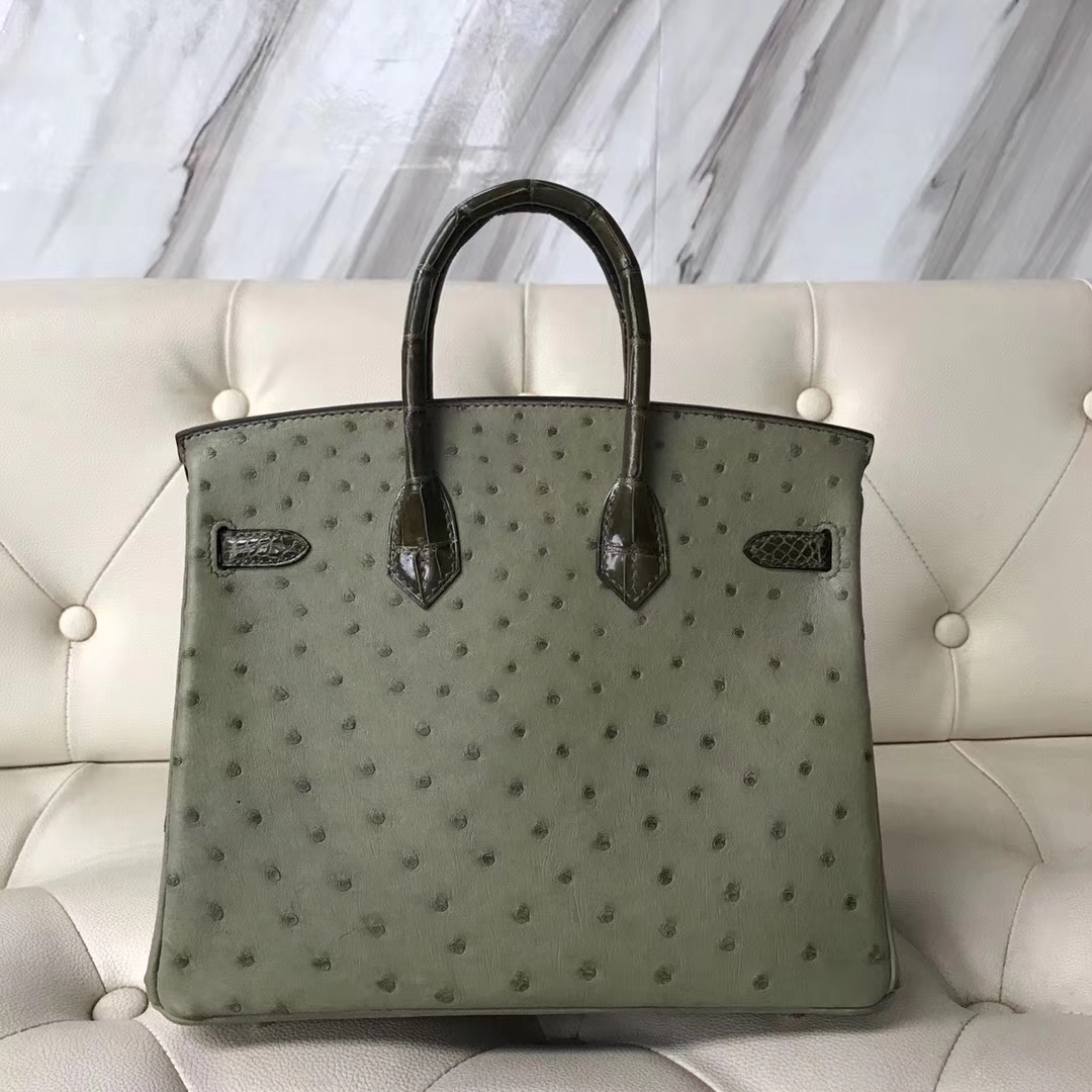 Luxury Hermes V6 Canopee Green Ostrich Leather/Olive Green Shiny Crocodile Birkin25CM