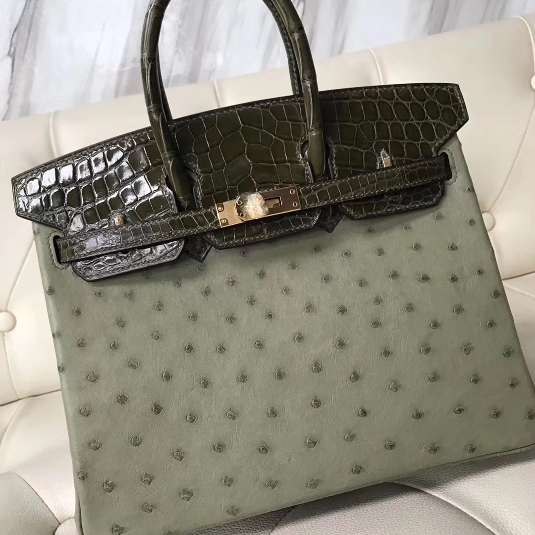 Luxury Hermes V6 Canopee Green Ostrich Leather/Olive Green Shiny Crocodile Birkin25CM