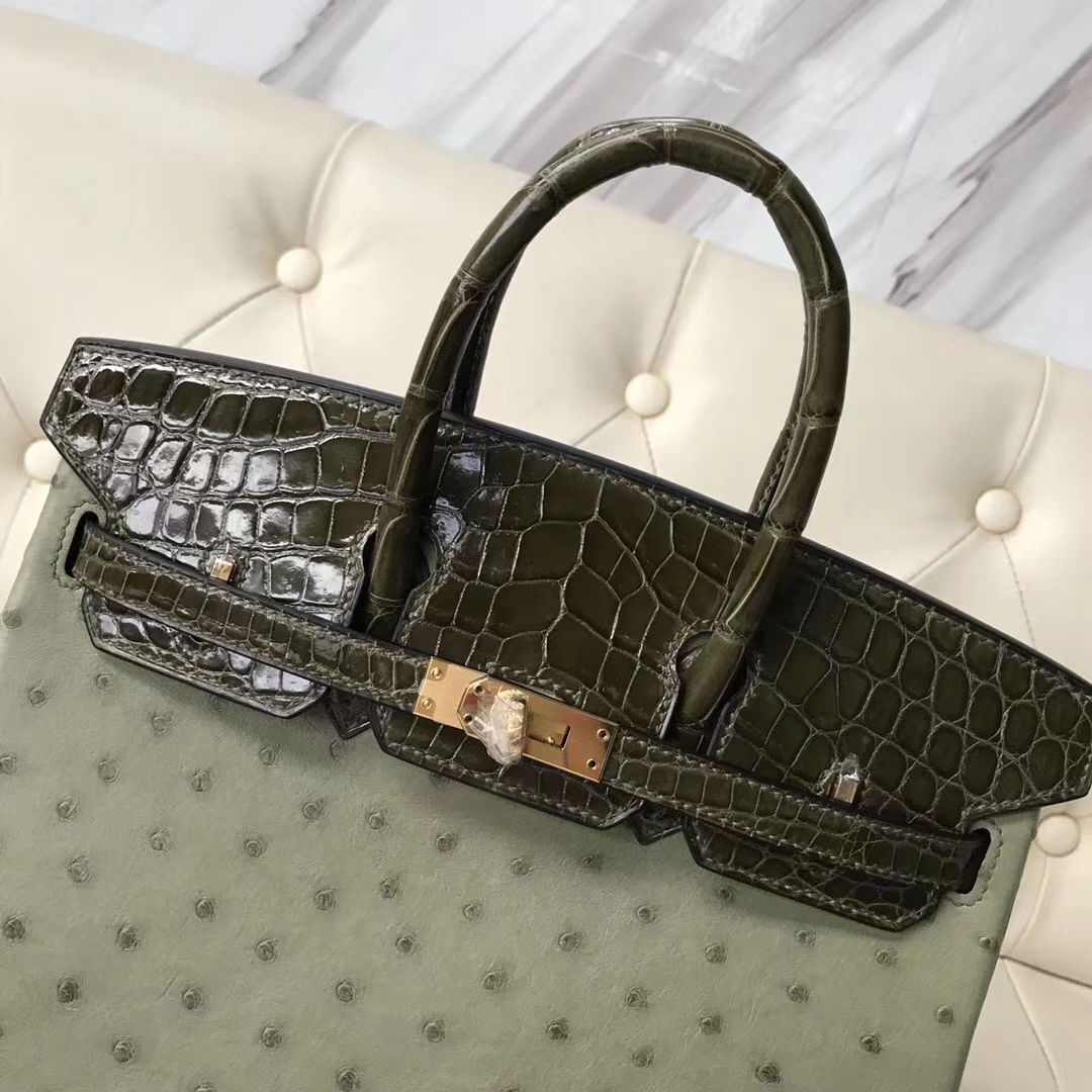 Luxury Hermes V6 Canopee Green Ostrich Leather/Olive Green Shiny Crocodile Birkin25CM