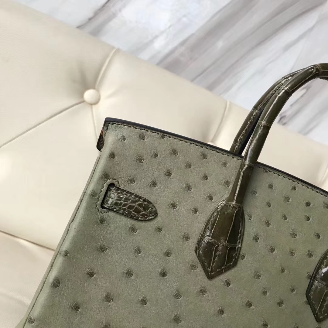 Luxury Hermes V6 Canopee Green Ostrich Leather/Olive Green Shiny Crocodile Birkin25CM