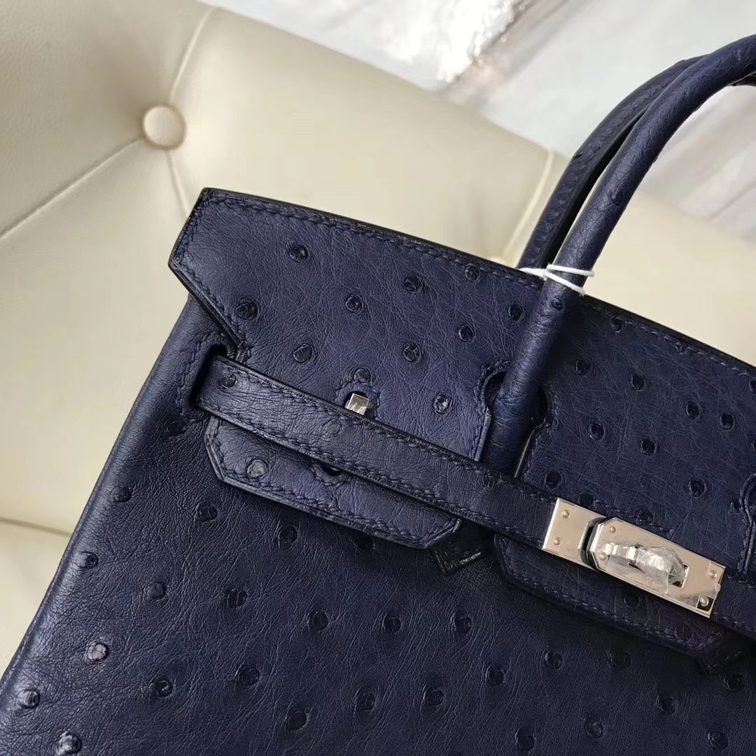 Elegant Hermes CK73 Blue Saphir Ostrich Leather Birkin Bag25CM Silver Hardware