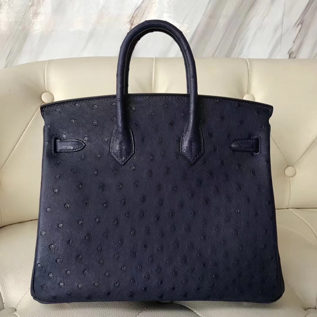 Elegant Hermes CK73 Blue Saphir Ostrich Leather Birkin Bag25CM Silver Hardware